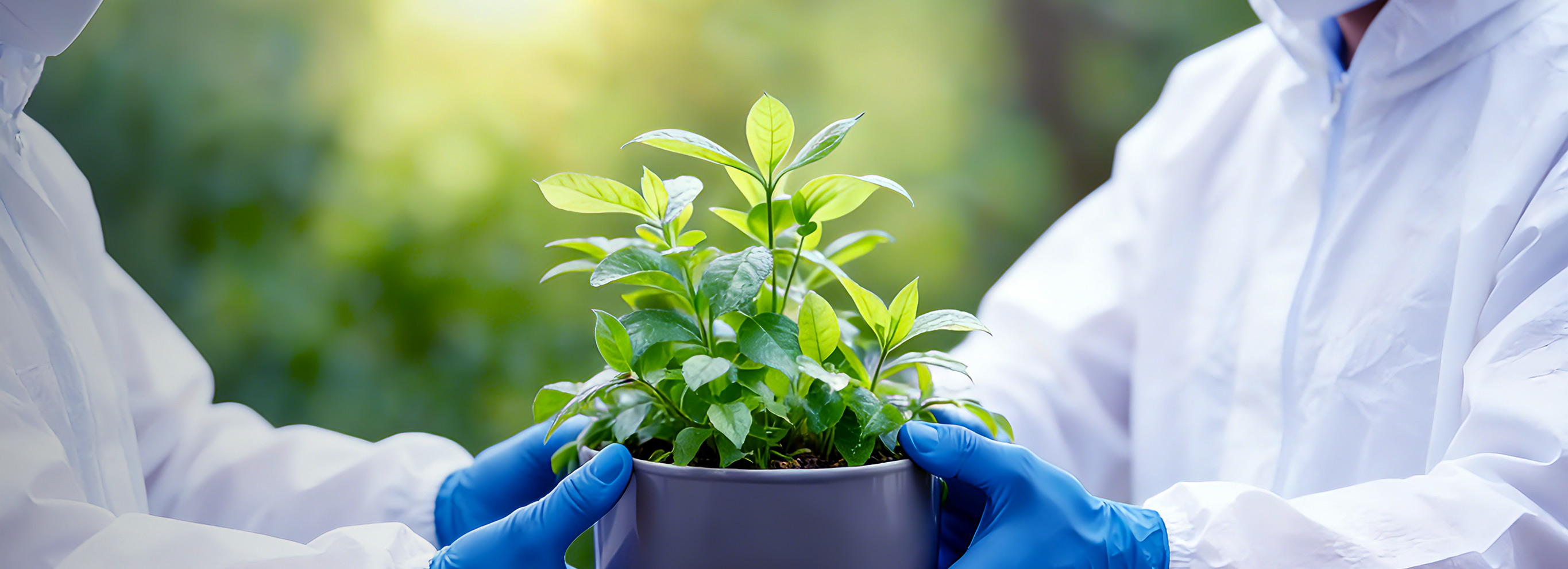 Responsibility Policy